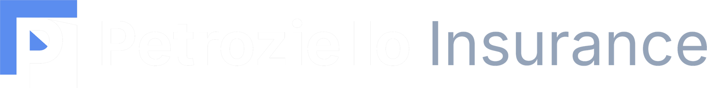 Brandon Petroziello Agency